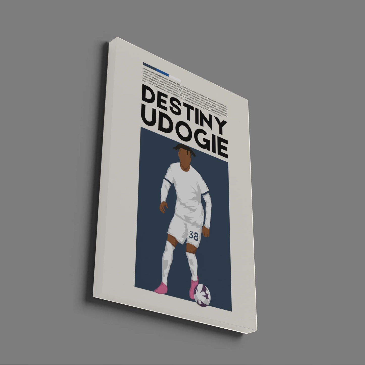 Destiny Udogie Tottenham - Minimalist