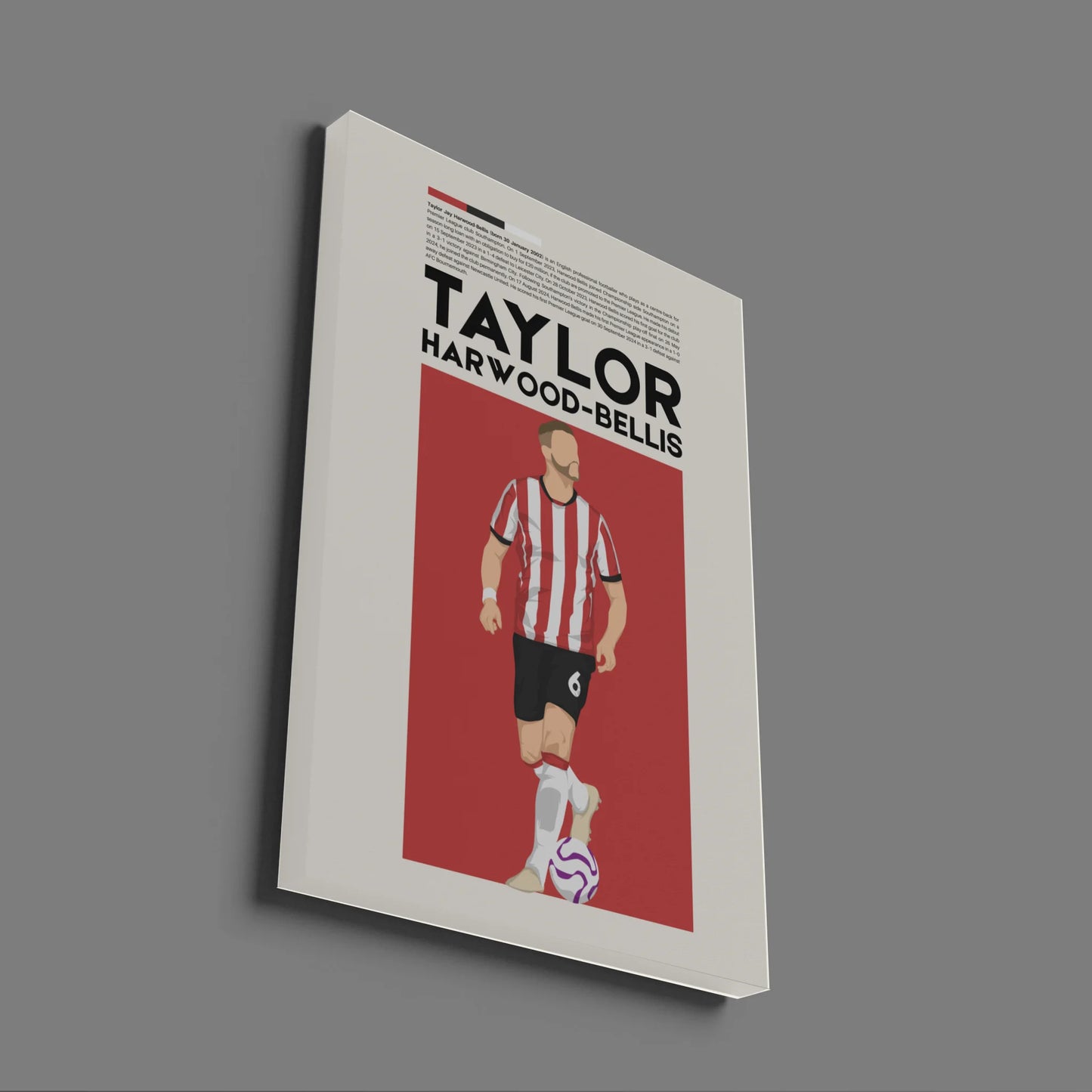 Taylor Harwood-Bellis Southampton - Minimalist