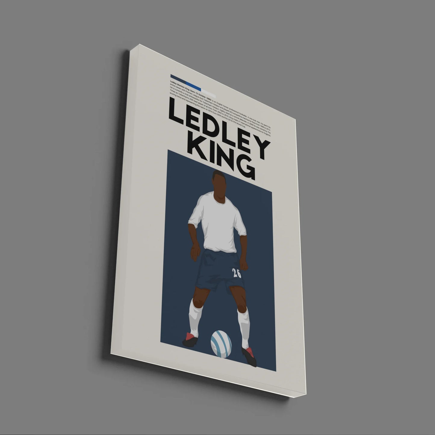 Ledley King Tottenham - Minimalist