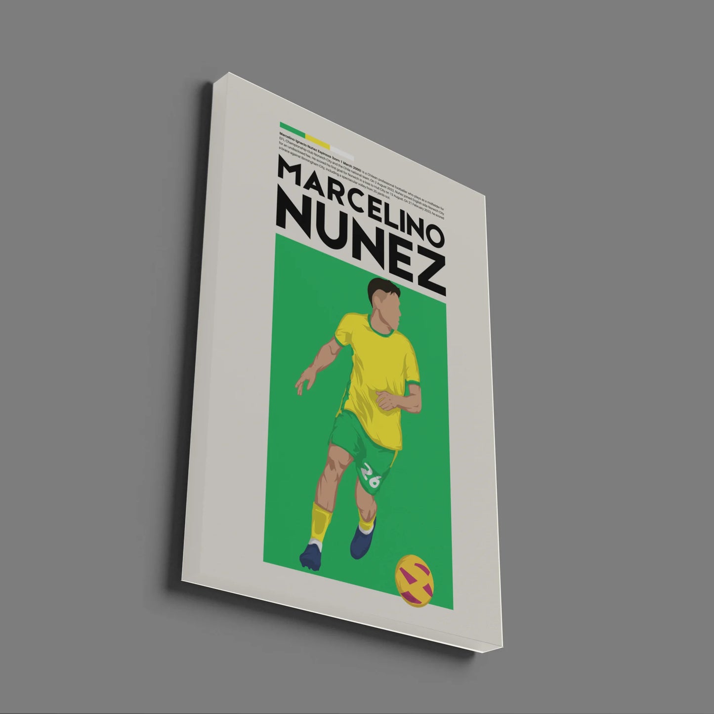 Marcelino Núñez Norwich - Minimalist