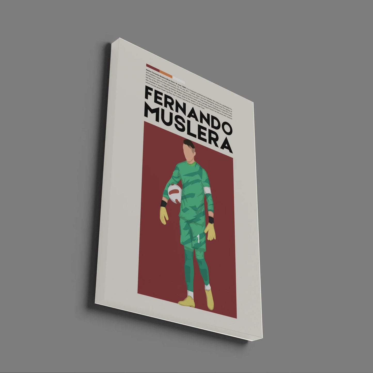 Fernando Muslera Galatasaray - Minimalist