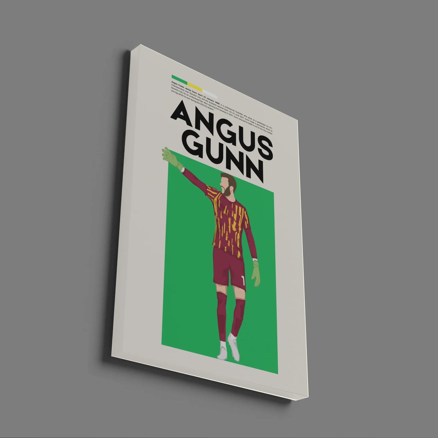 Angus Gunn Norwich - Minimalist